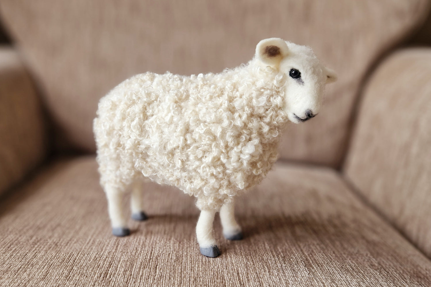 MAKER SPOTLIGHT: Felts by Philippa