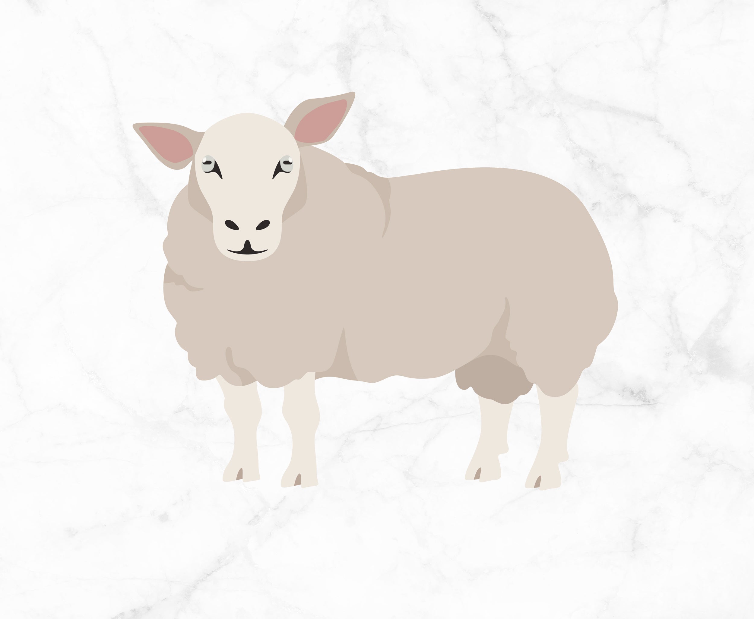 Cheviot – World of Wool Trade