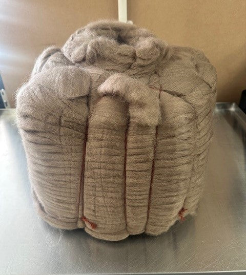 Cheviot Fawn Top 10kg