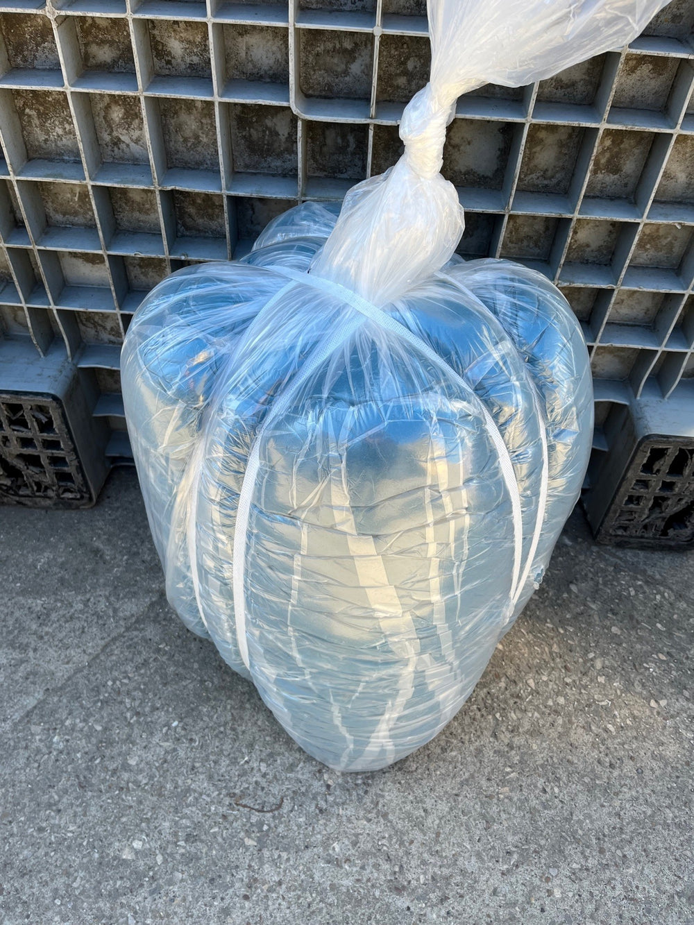 Carded Corriedale Sliver Dragon Egg Blue 5KG