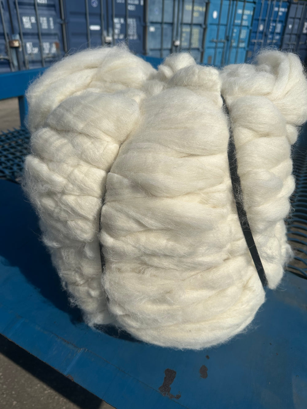 Texel / Blackface / Lleyn Top 7.5kg Bump