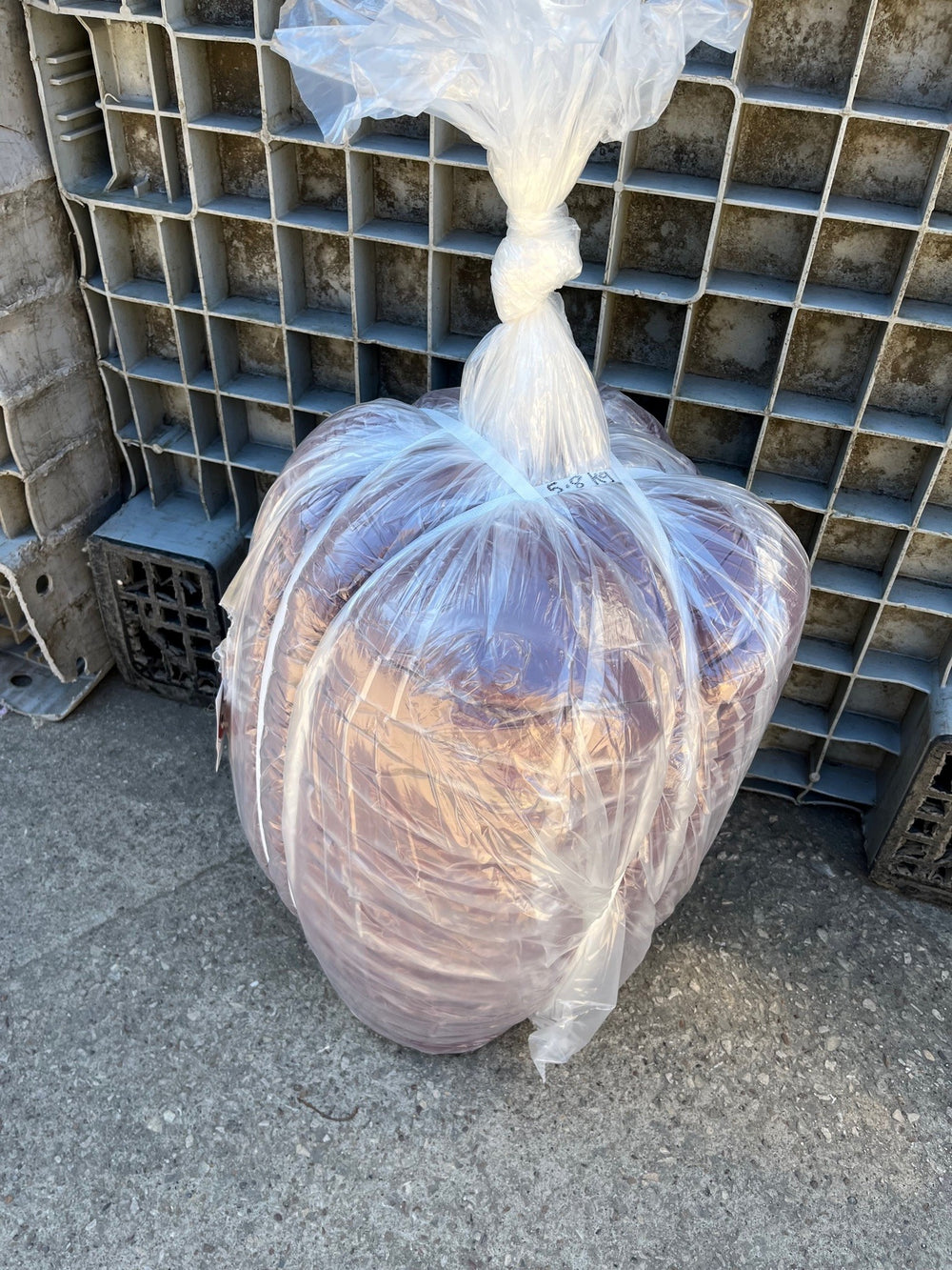 Carded Corriedale Sliver Ruby Slippers 5KG