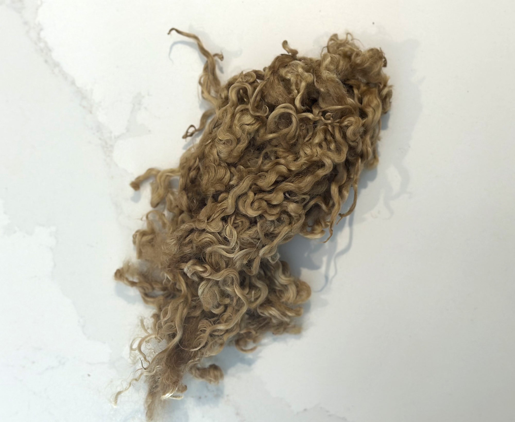 Locky Wensleydale Wool Locks Wafer