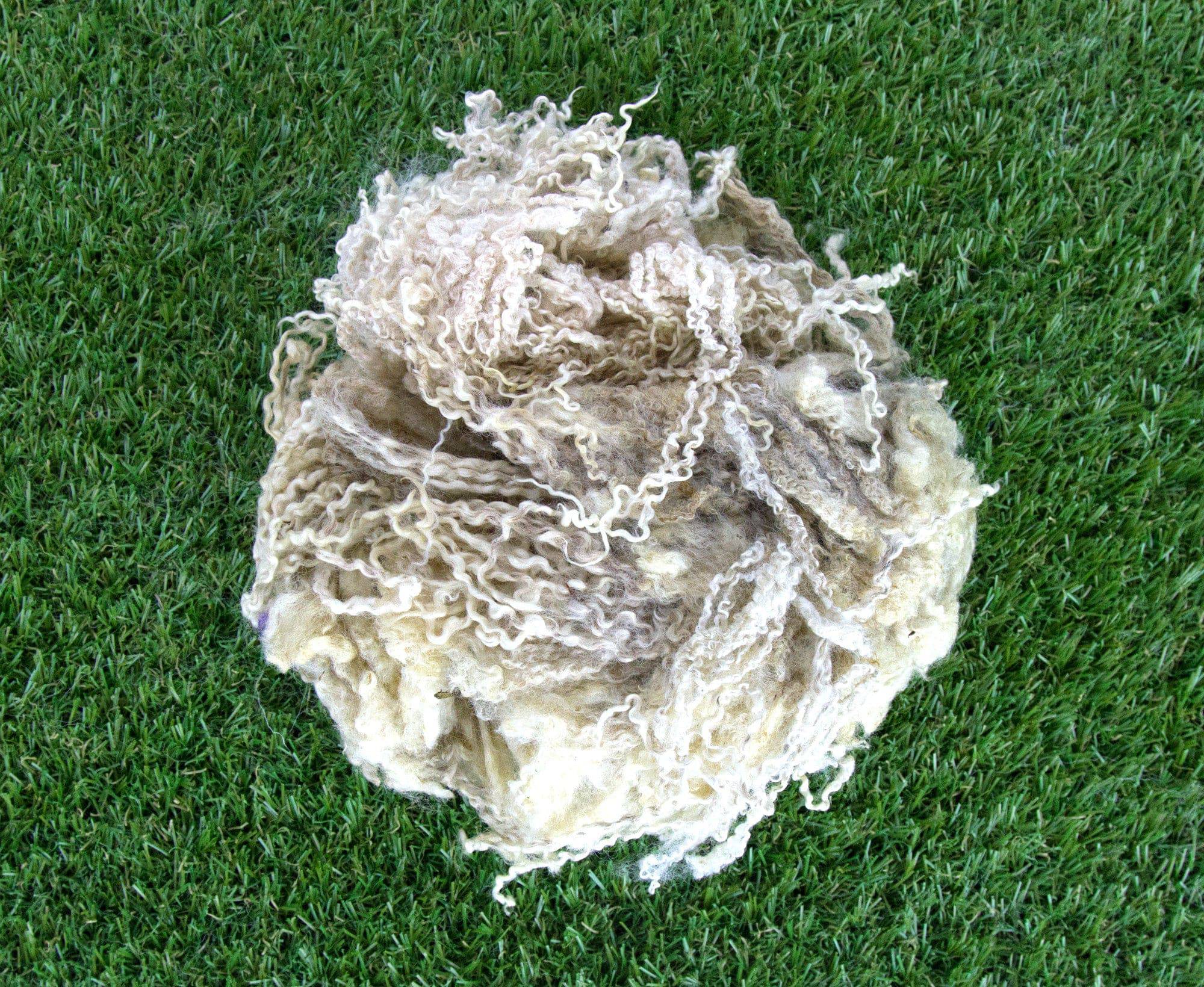 Greasy Raw Blue Faced Leicester Fleecewool - World of Wool