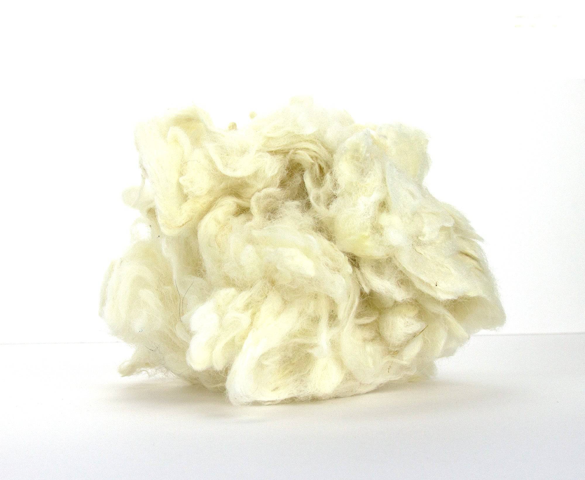 Scoured Corriedale Lambswool - World of Wool
