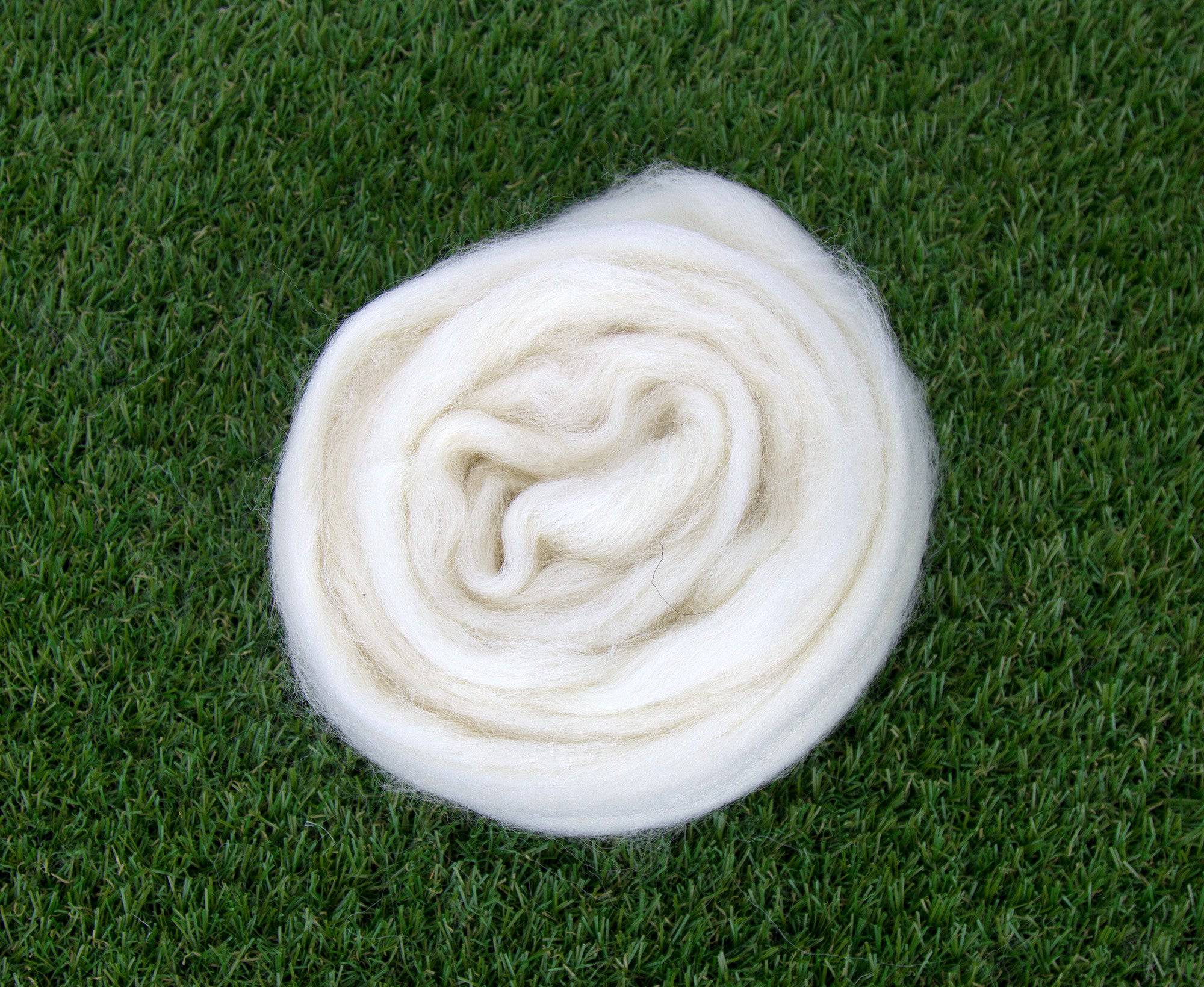 White Dorset Horn Top - World of Wool