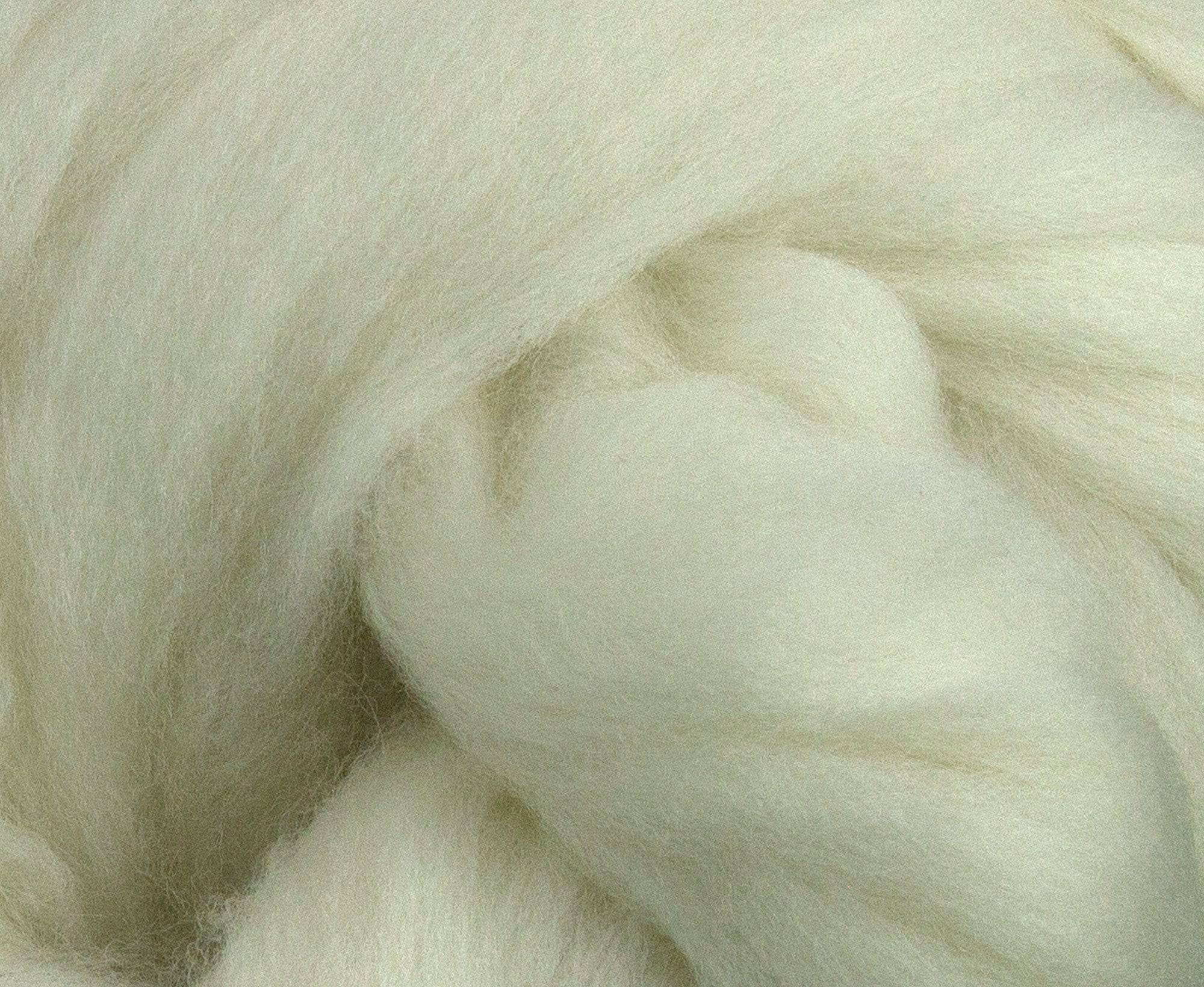 White Falkland Merino Top - World of Wool