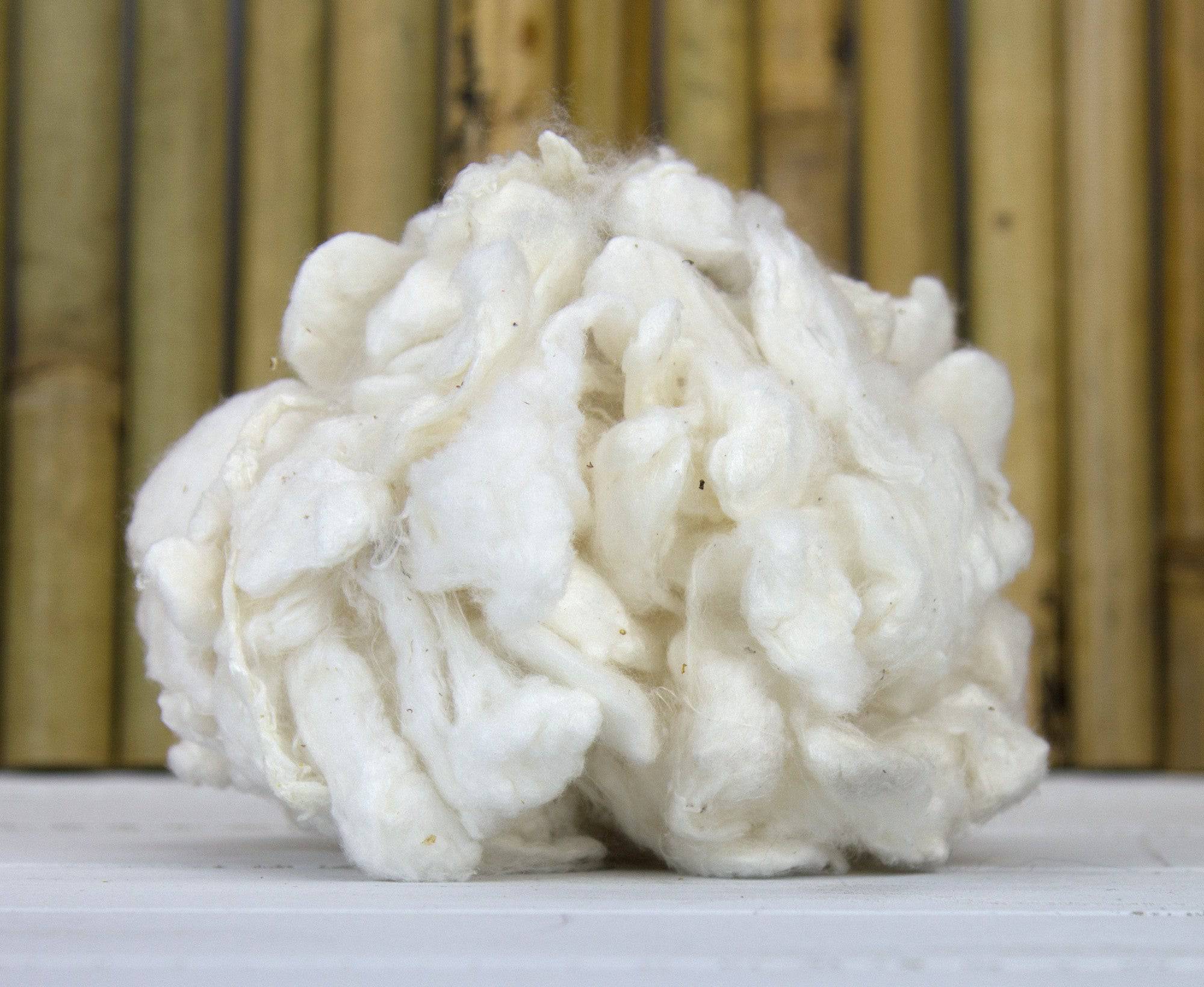 De-Gummed Silk Cocoons - World of Wool