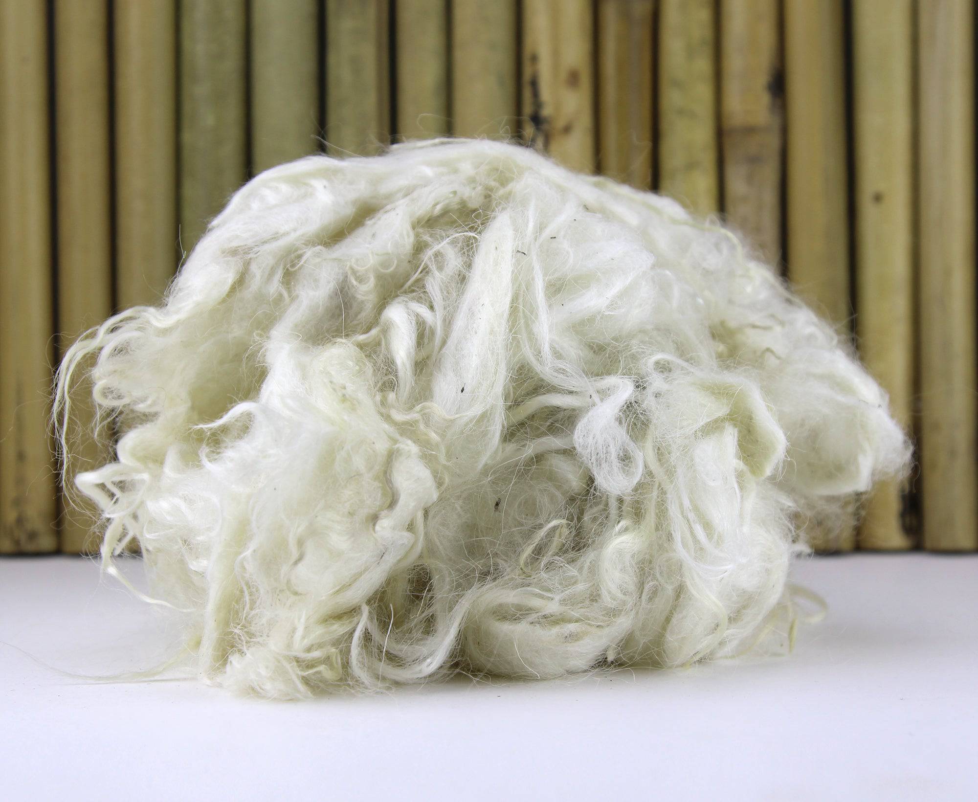 Scoured/Washed Mohair Fleece - World of Wool