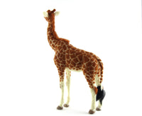 Gino The Giraffe | Needle Felting Kit - World of Wool