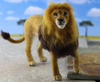 Lewie The Lion  | Needle Felting Kit - World of Wool