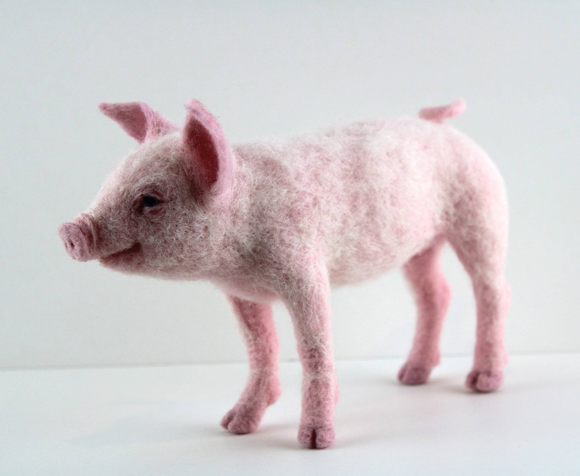 Pippin The Pig | Needle Felting Kit - World of Wool