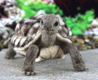 Toto The Tortoise | Needle Felting Kit - World of Wool