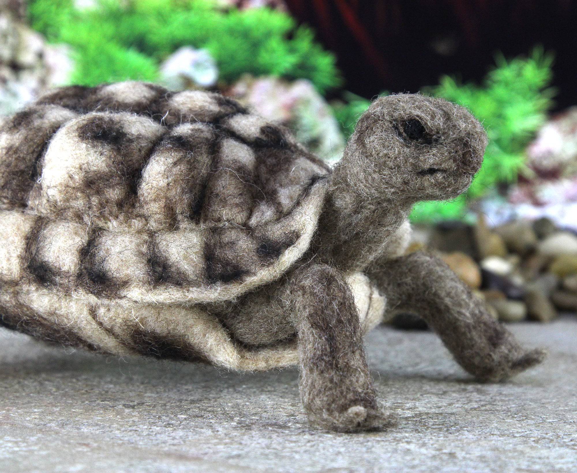 Toto The Tortoise | Needle Felting Kit - World of Wool