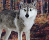 Winston The Wolf  | Needle Felting Kit - World of Wool